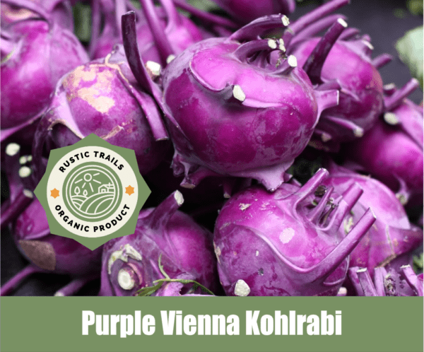 Purple Vienna Kohlrabi